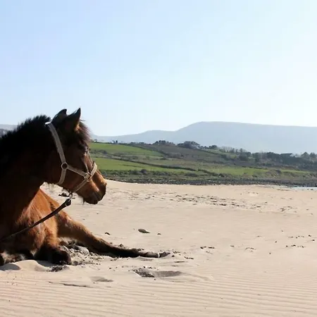 Armada Seashore Sligo Lägenhet Grange (Sligo)