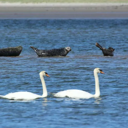 Apartment Armada Seashore Sligo Grange (Sligo)