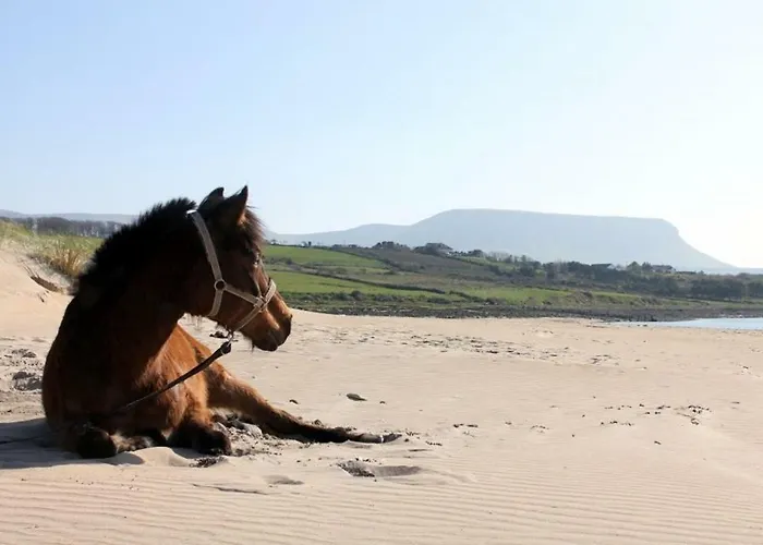 Armada Seashore Sligo 公寓 Grange (Sligo)