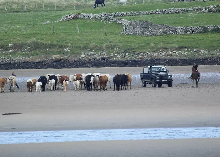 Armada Seashore Sligo Apartament *